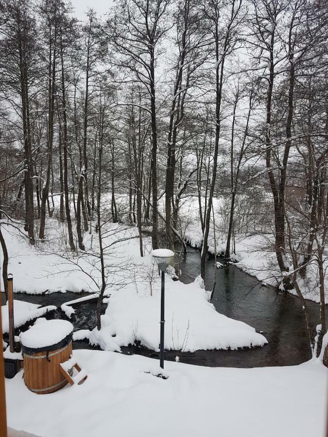 Vodenica Vrelo Chalets Vrelo Koreničko エクステリア 写真