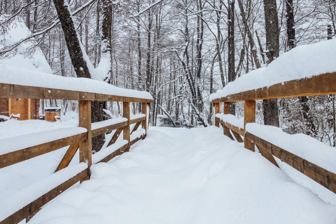 Vodenica Vrelo Chalets Vrelo Koreničko エクステリア 写真