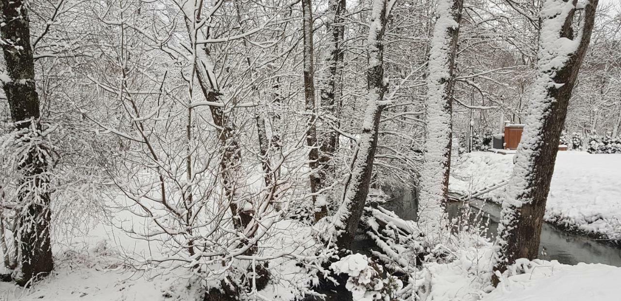 Vodenica Vrelo Chalets Vrelo Koreničko エクステリア 写真